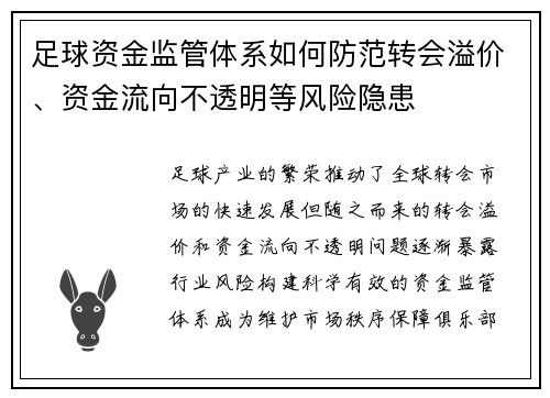 足球资金监管体系如何防范转会溢价、资金流向不透明等风险隐患